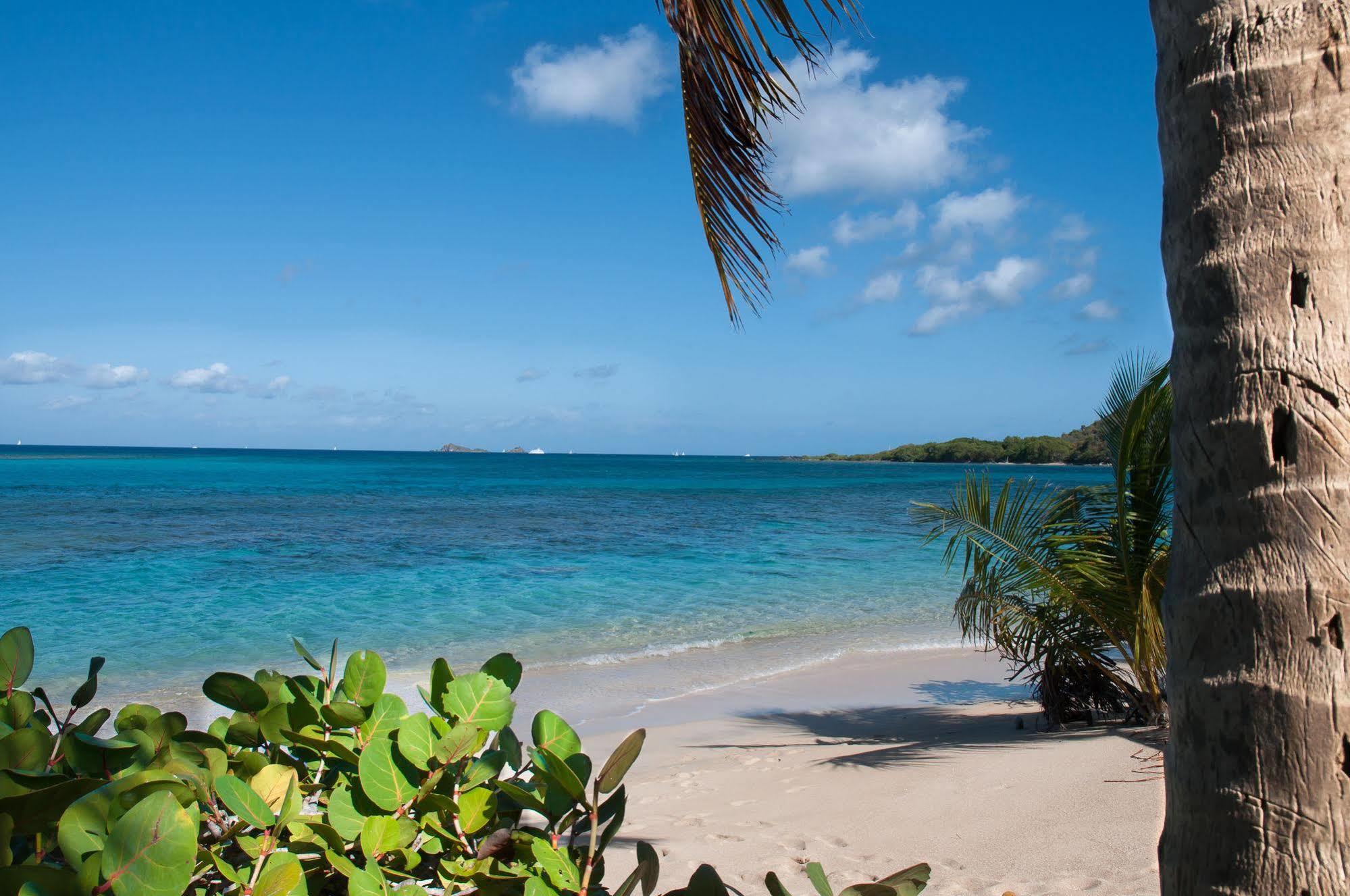 Mango Bay Resort スパニッシュタウン エクステリア 写真